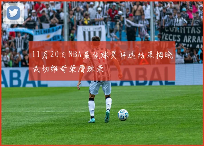 11月20日NBA最佳球员评选结果揭晓武切维奇荣膺殊荣