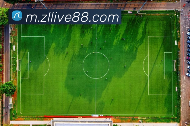 尊龙体育发展历程