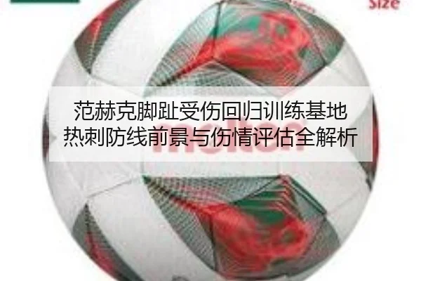 范赫克脚趾受伤回归训练基地 热刺防线前景与伤情评估全解析